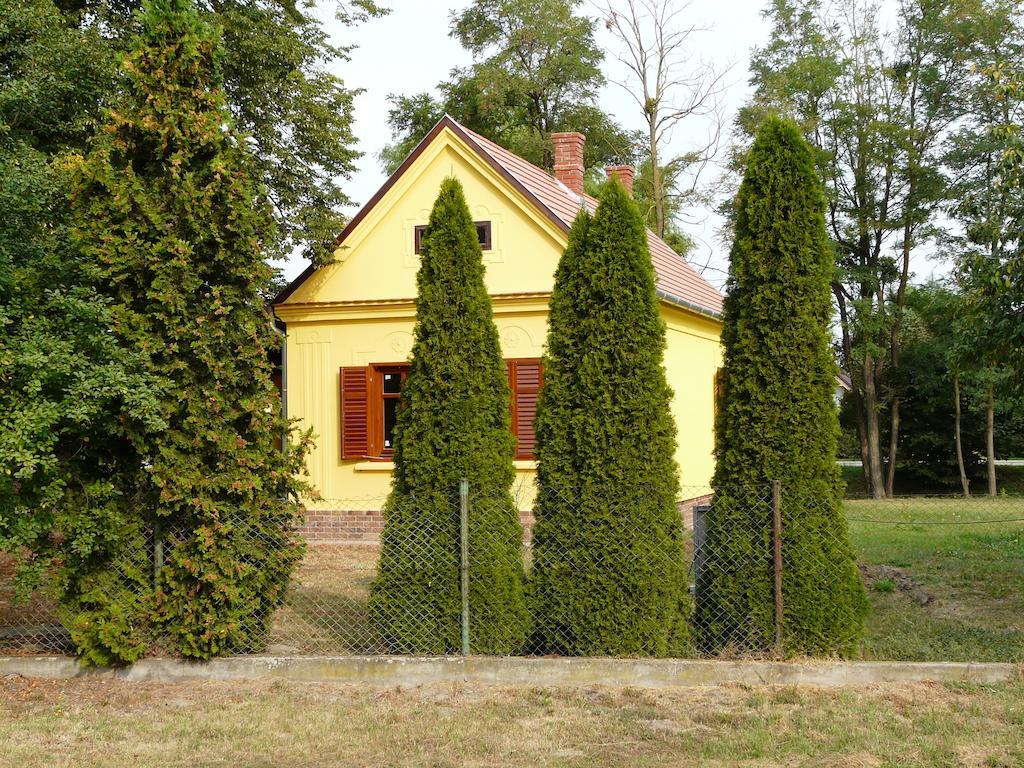 Marfi Vendeghaz Villa Magyarszerdahely Rum bild